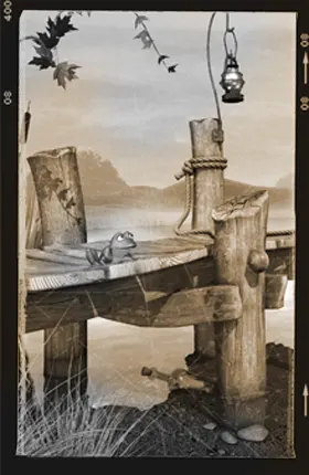 At the Moon Water Lake